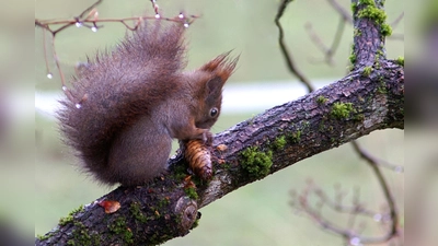 Die Mitglieder des Fotokreises haben das Thema Baum in den Mittelpunkt ihrer Arbeit gestellt. (Foto: Bernd Hofmann)