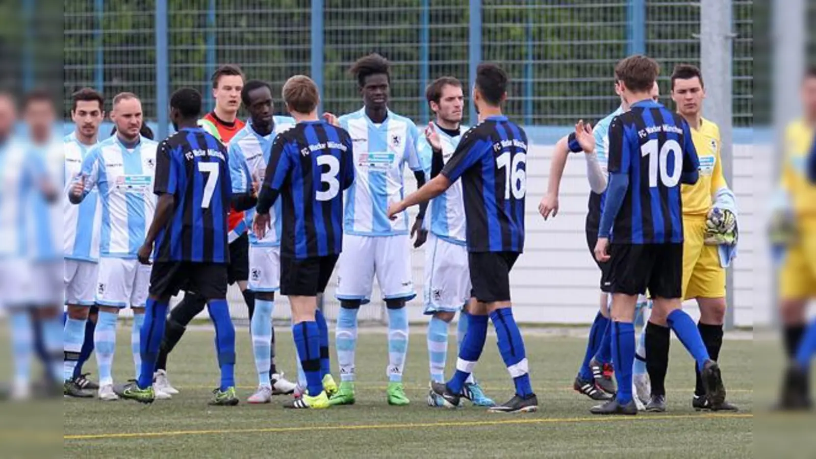 Kommende Saison gemeinsam in der Kreisliga: Die Löwen und die Blausterne.  (Foto: A. Wild)