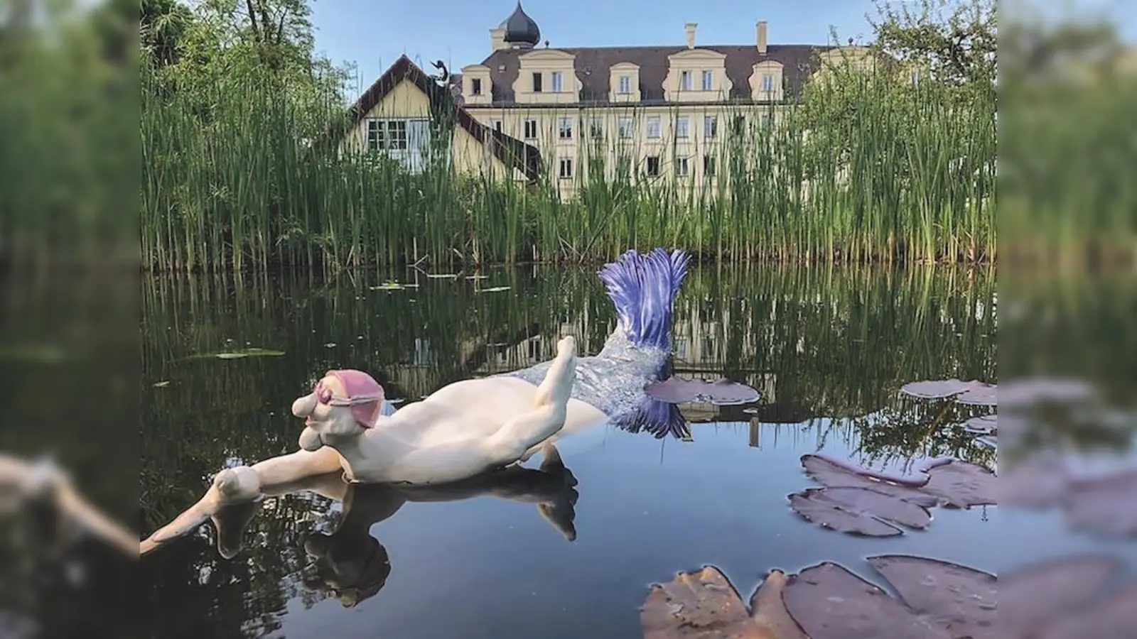 Noch bis zum 18. September können die komischen Gestalten verschiedener Künstler im Klostergarten Bernried besichtigt werden. (Foto: Mia Bo?ddecker)