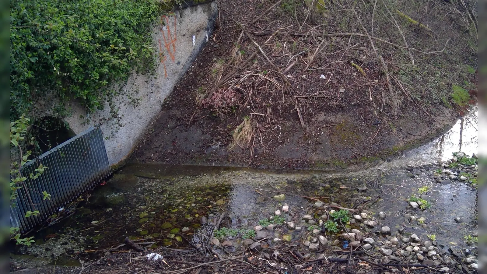 Früher ist die Moosach wirklich noch in Moosach entsprungen. Das letzte Relikt ist der Reigersbach. (Foto: bas)