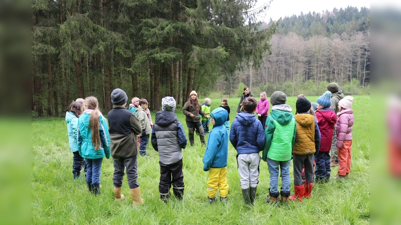 Voller Eifer waren die Kinder bei der Baumpflanzaktion im Kupferbachtal mit von der Partie. Gesetzt wurden bei dieser Aktion Roterlen. (Foto: Montessori-Schule Niederseeon)