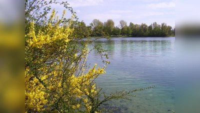 Dem Karlsfelder See wurde ausgezeichnete Wasserqualität bescheinigt. (Foto: A.W.)