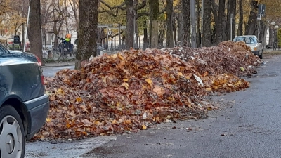 Nach wie vor säumen große Laubhaufen zahlreiche Wohnstraßen im Viertel. (Foto: Beatrix Köber)