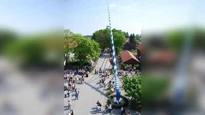 Vor fünf Jahren wurde ebenfalls ein Maibaum in Dürrnhaar aufgestellt, die Burschen hoffen auf ähnlich schönes Wetter wie damals.	 (Foto: Privat)