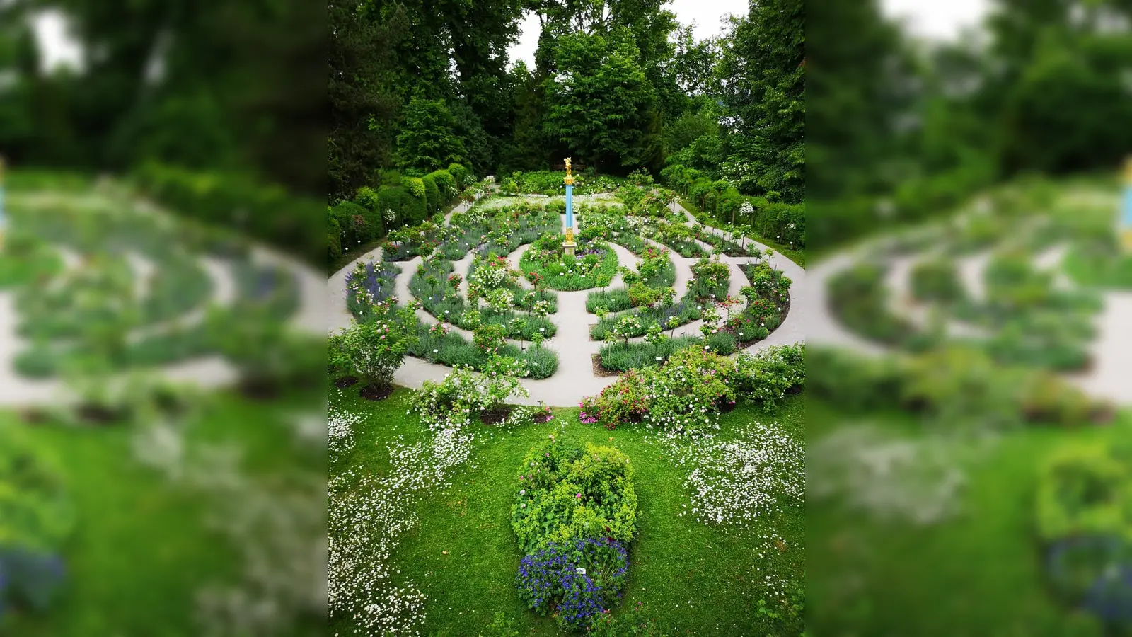 Das Rosarium der Roseninsel steht in voller Blütenpracht. Gewöhnlich beginnt die erste Blüte etwa Mitte Juni, die zweite etwa Mitte August. Die Rosen blühen dann ungefähr für vier Wochen. Klimabedingt kann sich die Blütezeit (auch um mehrere Wochen) verschieben. (Foto: Bayerische Schlösserverwaltung)