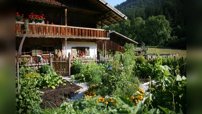 Zu Pfingsten blühen die Bauerngärten auf. (Foto: Markus Wasmeier)