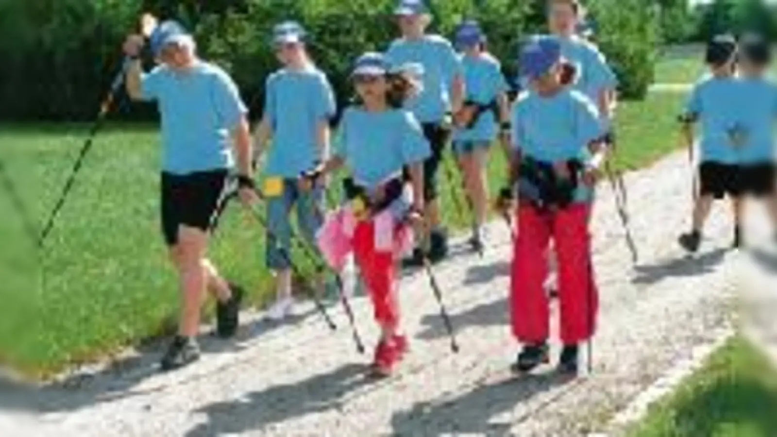 Über Stock und Stein  Nordic Walking für Kinder beim VfB Hallbergmoos. 	 (Foto: Verein)