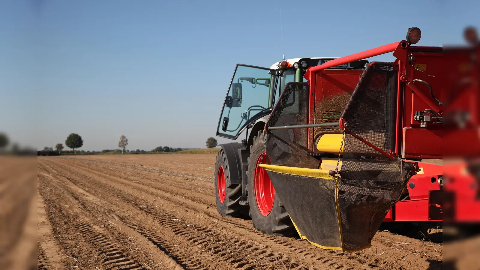 Kartoffeln schmecken nicht nur gut, sondern sind gesund und wenn sie aus der Region kommen auch nachhaltig und ressourcenschonend. (Foto: Die-Kartoffel)