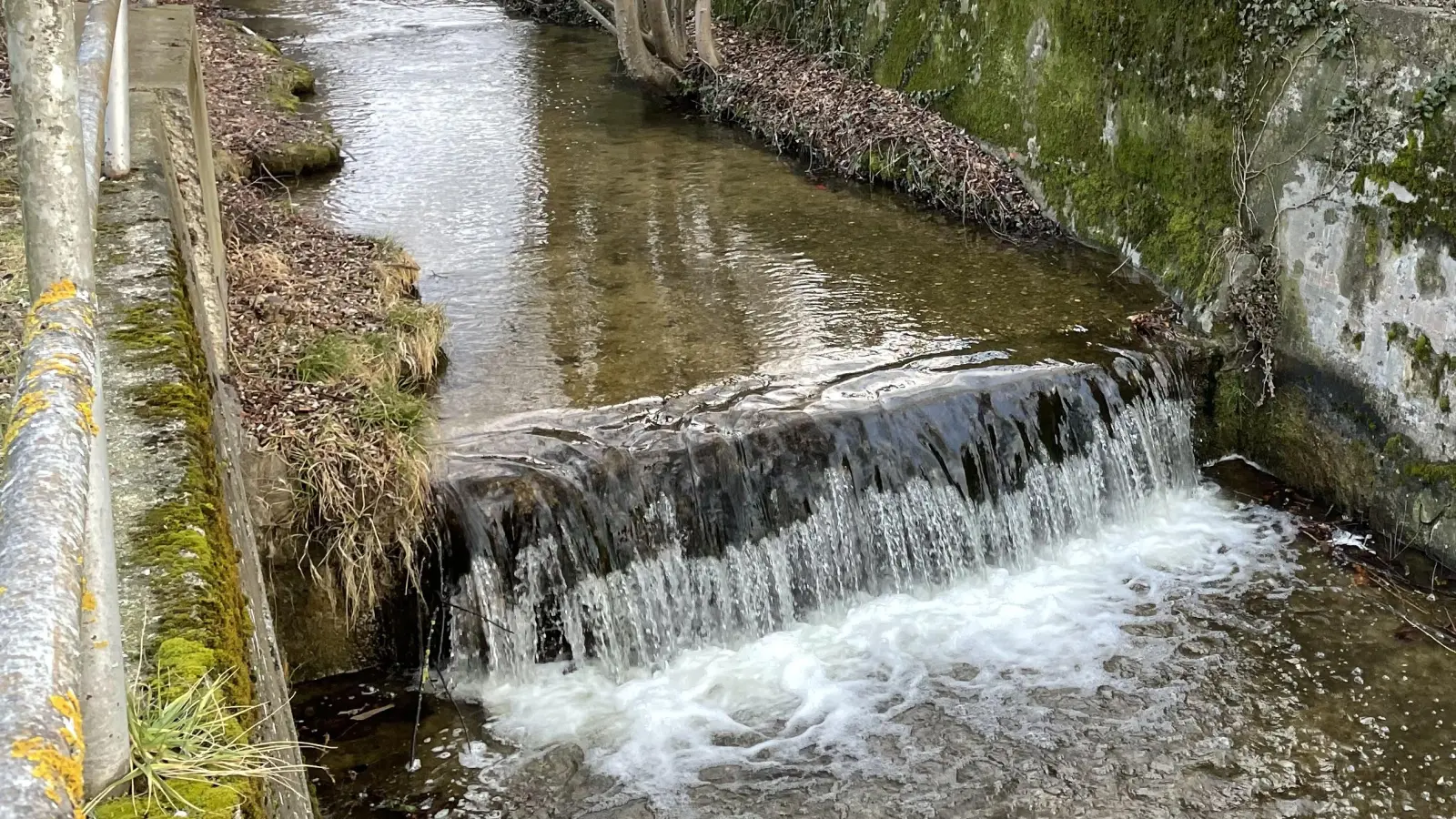 Die Uferbefestigung des Kienbachs soll saniert werden.  (Foto: pst)