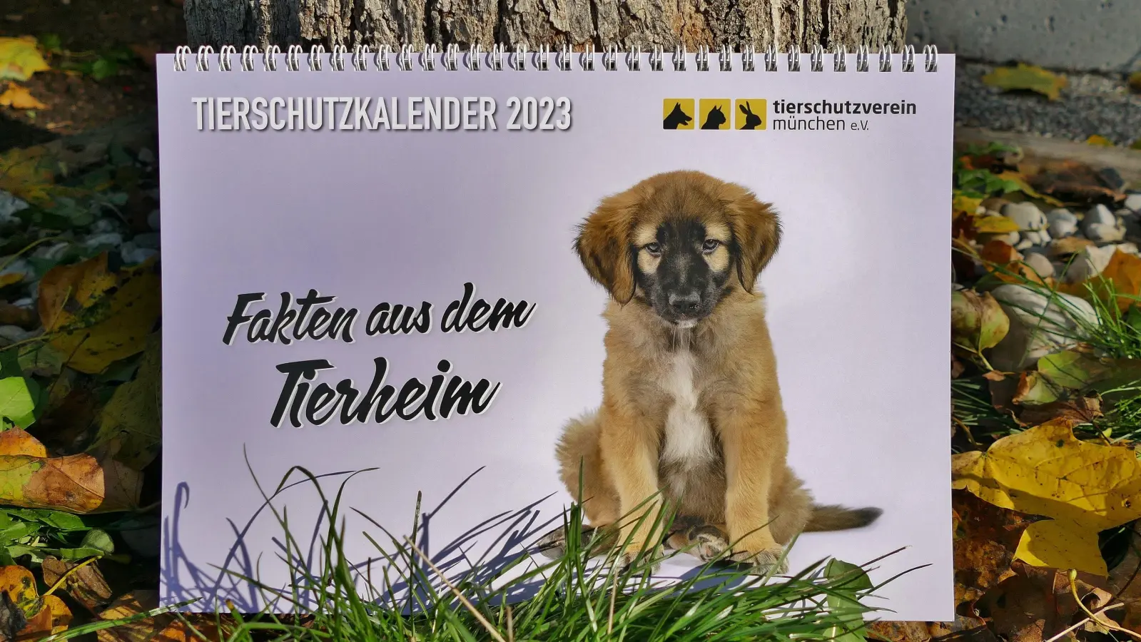 Der neue Kalender 2023 ist ab sofort erhältlich. (Foto: Tierschutzverein München)