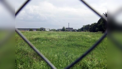 Ein Blick durch den Zaun an der Soldhofstraße zeigt die grüne Wiese, auf der am nordöstlichen Ende der Rupert-Bodner-Straße, direkt anschließend an das hier sichtbare Flachdach-Industriegebäude, die Errichtung einer Transportbetonanlage geplant ist – rechts hinter den Bäumen beginnt jedoch bereits die Wohnbebauung. (Foto: Eva Schraft)