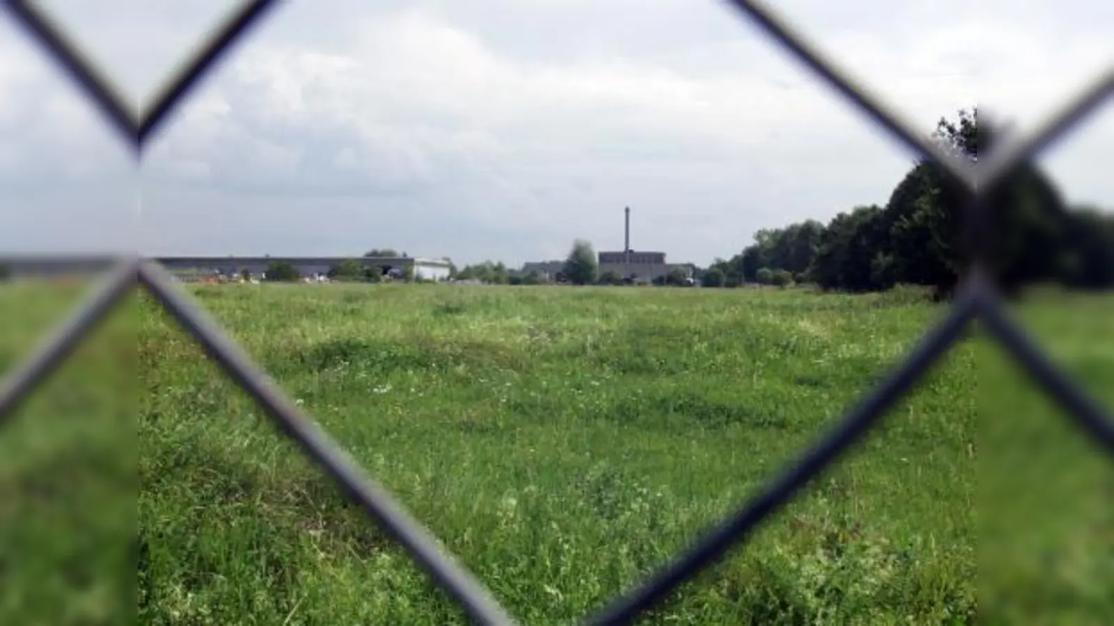 Ein Blick durch den Zaun an der Soldhofstraße zeigt die grüne Wiese, auf der am nordöstlichen Ende der Rupert-Bodner-Straße, direkt anschließend an das hier sichtbare Flachdach-Industriegebäude, die Errichtung einer Transportbetonanlage geplant ist – rechts hinter den Bäumen beginnt jedoch bereits die Wohnbebauung. (Foto: Eva Schraft)