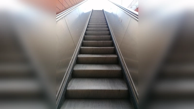 Auf Rolltreppen können sich Hunde leicht sehr weh tun. (Foto: job)