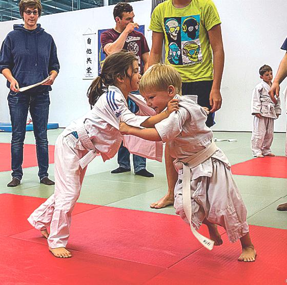 Schon für Kinder ab fünf Jahren ist Judo geeignet, der TSV bietet Anfängerkurse an. 	Foto: TSV