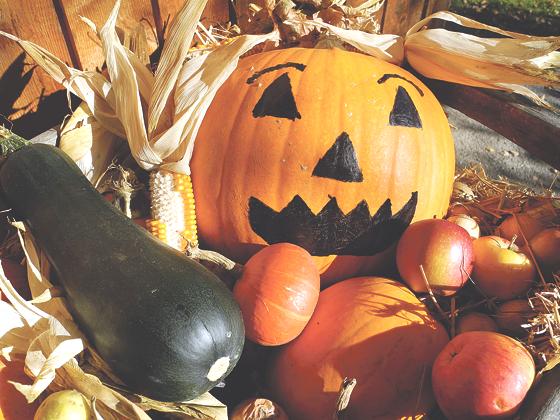 Kinder- und Jugendfarm in Ramersdorf lädt zur  Grusel-Party an Halloween ein.	Foto: VA