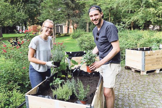 Mitten in der Stadt am Fuße der Matthäuskirche ist ein neuer Gemeinschaftsgarten entstanden.	Foto: Katharina Gressmann