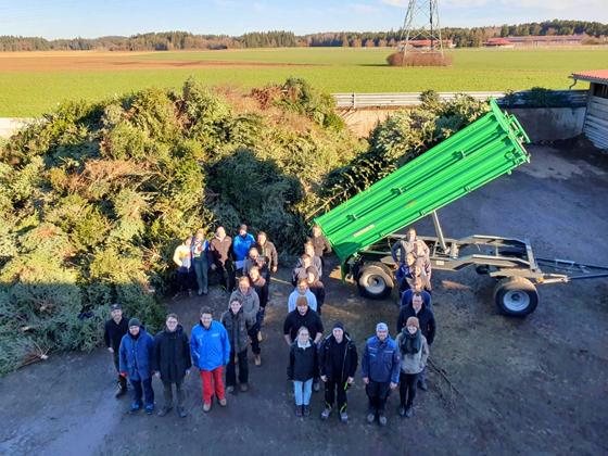 Die Junge Union bietet Mitte Januar einen Christbaum-Entsorgungsservice an.  Foto: Junge Union Ebersberg