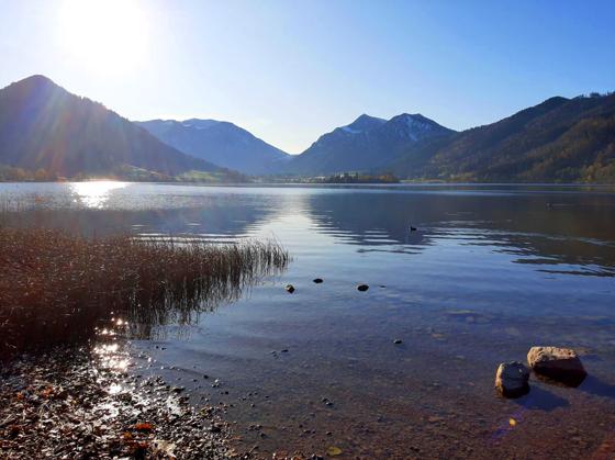 Senioren mit geringem Einkommen haben die Gelegenheit zu einem Tagesausflug an den Schliersee. Foto: std