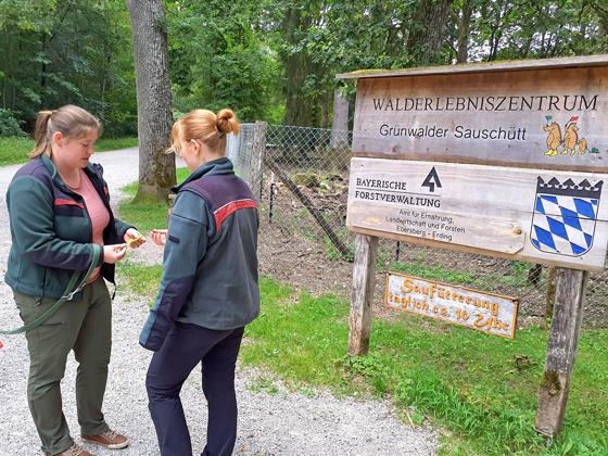 Xenia Rüskamp (v.l.), Leiterin des Walderlebniszentrum (WEZ) im Gespräch mit Eva Gottwald, momentan noch als Freiwillige im WEZ Grünwald beschäftigt ist. Foto: AELF EE